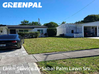 Lawn Cuttingin Fort Lauderdale,33334,Lawn Mowing by Sabal Palm Lawn Srv., work completed in Feb , 2026