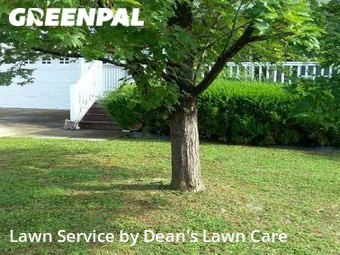 Lawn Service nearby Raleigh, NC, 