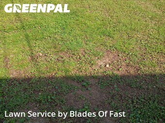 Lawn Cutting nearby Atlanta, GA, 