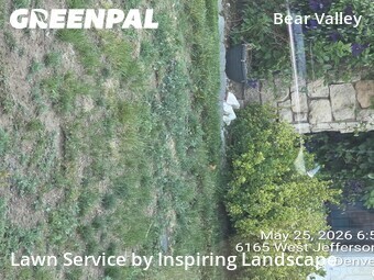 Lawn Cutin Denver,80235,Lawn Maintenance by Inspiring Landscape, work completed in Jun , 2026