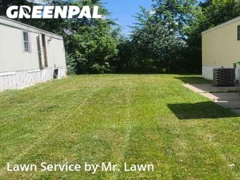 Grass Cut nearby Sterling Heights, MI, 
