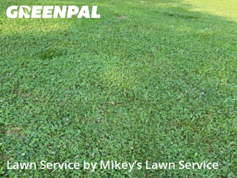 Yard Cutting nearby Rome, GA, 