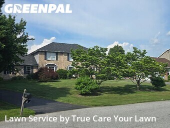 Lawn Cut nearby Bear, DE, 