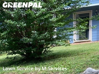 Lawn Maintenance nearby Greensboro, NC, 