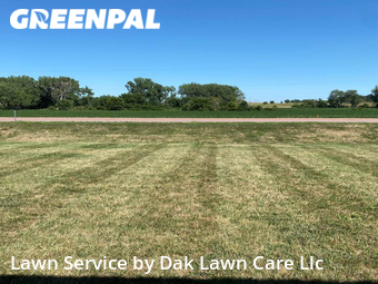Lawn Mow nearby Wayne Township, SD, 
