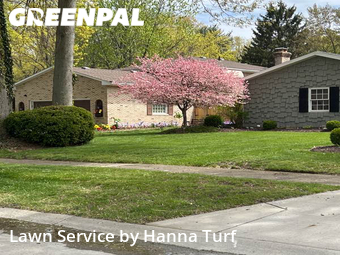 Lawn Mow nearby Lorain, OH, 