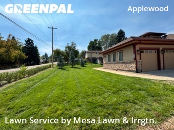 Yard Mowing nearby Lakewood, CO, 
