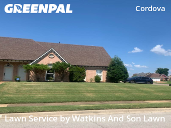 Grass Cut nearby Memphis, TN, 