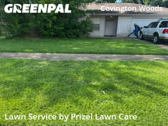 Lawn Mowing nearby Sugar Land, TX, 