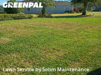 Lawn Mow nearby St. Augustine, FL, 