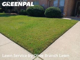 Yard Mowingin Haltom City,76137,Lawn Mowing Service by Olive Branch Lawn, work completed in Nov , 2025