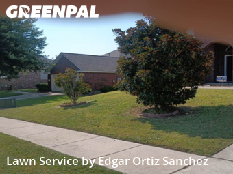 Yard Cuttingin Wylie,75098,Grass Cutting by Edgar Ortiz Sanchez, work completed in Nov , 2025