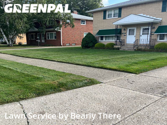 Grass Cut nearby Mayfield Heights, OH, 