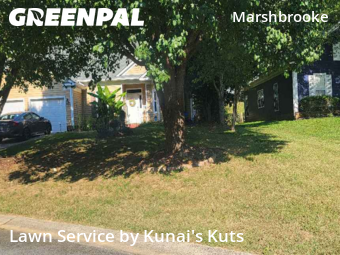 Lawn Care nearby Matthews, NC, 