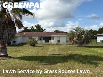 Lawn Cut nearby Ocala, FL, 