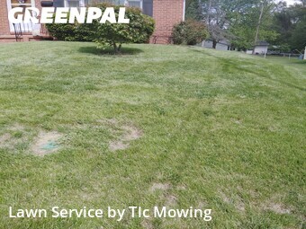 Yard Cutting nearby Decatur, IL, 