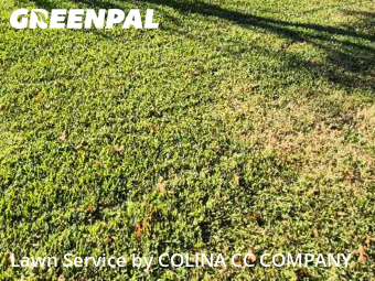 Lawn Mowing Servicein Grapevine,76051,Lawn Care by COLINA CC COMPANY, work completed in Jan , 2026