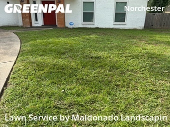 Yard Mowing nearby Houston, TX, 