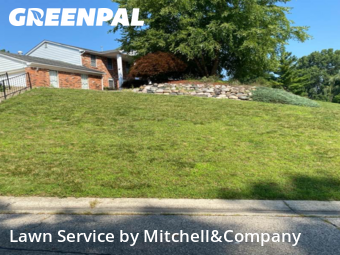 Grass Cutting in West Bloomfield Township, 48323, Lawn Services by Mitchell&Company, work completed in Dec , 2025