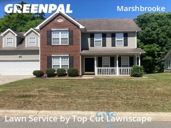 Grass Cutting nearby Matthews, NC, 