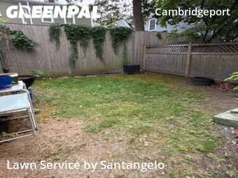 Weekly Mowing in Cambridge, 2139, Yard Upkeep by Santangelo, work completed in Nov , 2025