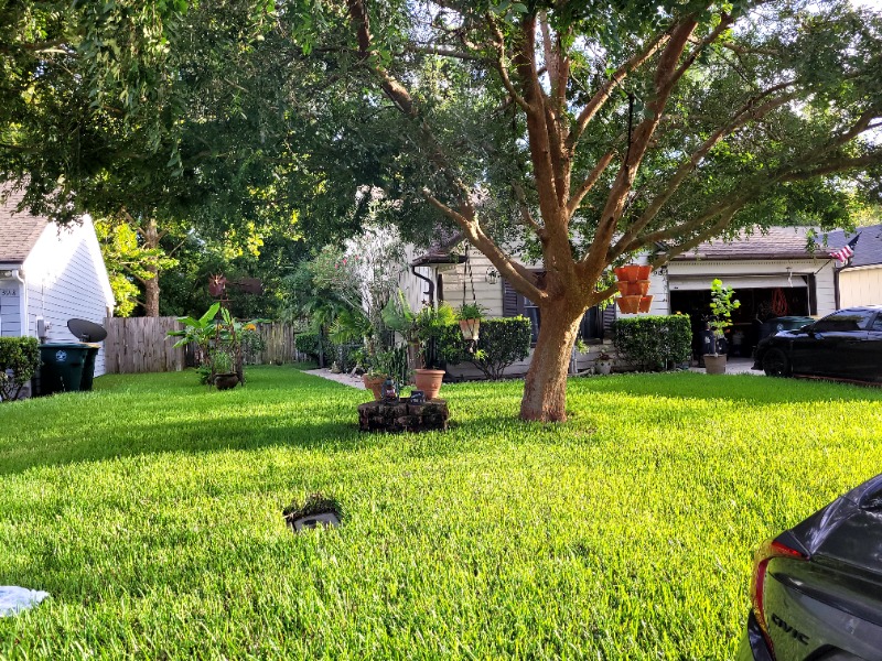 Cm Lawn Service Lawn Care Services in Silver Springs, FL