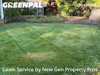Work completed by grass-care-professionals-in in Walnut Creek, CA
