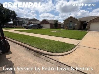 Yard Cutting nearby Katy, TX, 