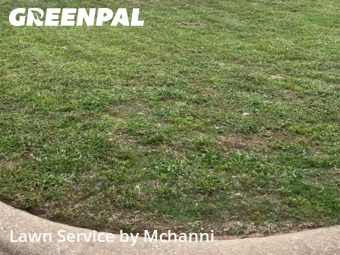 Lawn Cut nearby Fort Worth, TX, 