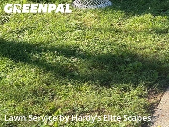 Grass Cutting nearby Hendersonville, TN, 