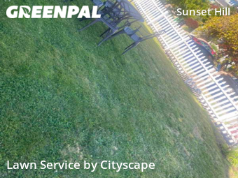 Yard Cutting nearby Seattle, WA, 