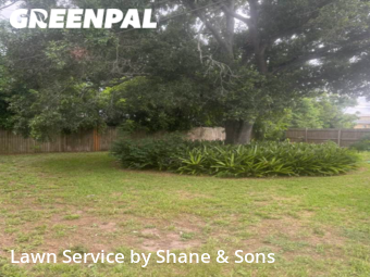 Lawn Cut nearby St. Petersburg, FL, 