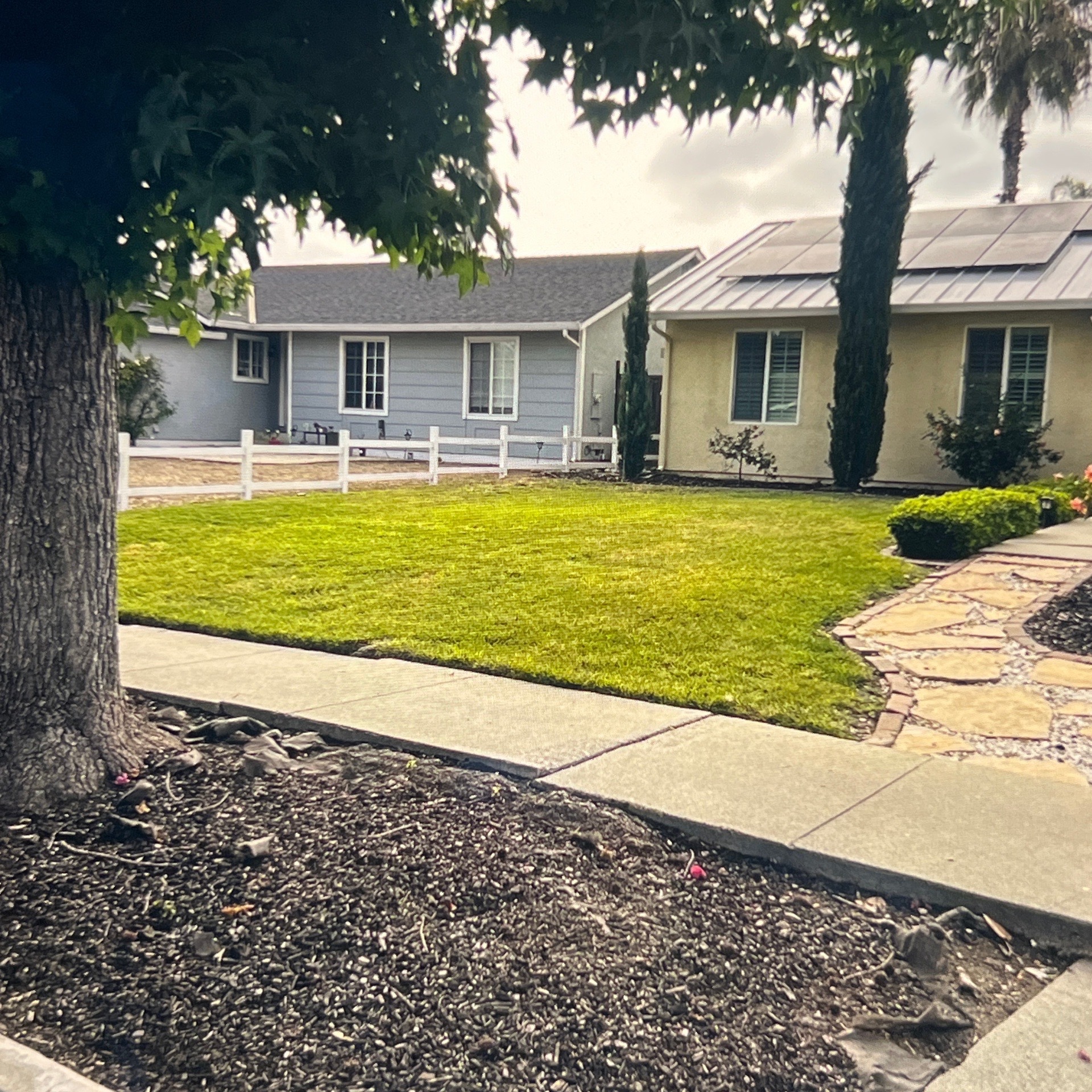Lawn mowing work by Flor Property Servic in Milpitas, CA