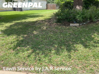 Grass Cut nearby Cedar Park, TX, 
