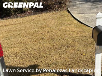 Lawn Care nearby Suwanee, GA, 