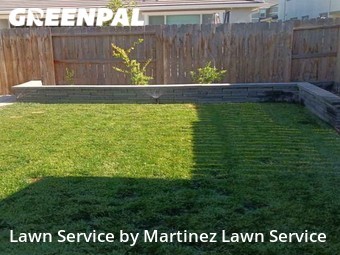 Lawn Mow nearby Elk Grove, CA, 