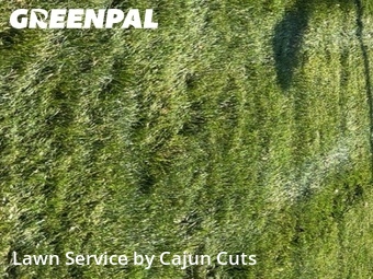 Lawn Cutting nearby Walterhill, TN, 