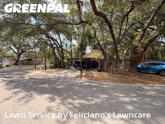 Lawn Mow nearby Tampa, FL, 