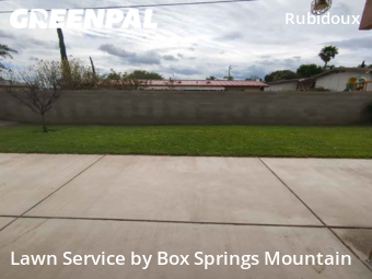 Grass Cutting nearby Riverside, CA, 