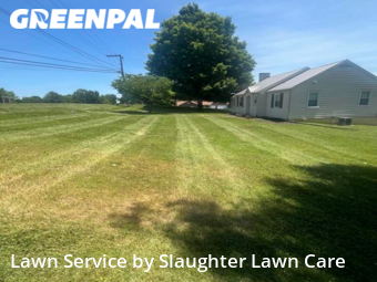 Lawn Cut nearby Powell, TN, 