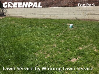 Lawn Service nearby St. Louis, MO, 
