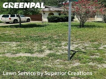 Yard Cutting nearby Spring Hill, FL, 