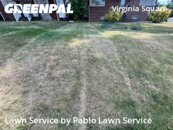 Lawn Care Service nearby Arlington, VA, 