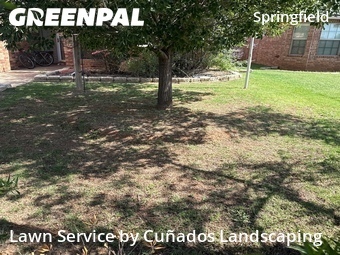 Lawn Mow nearby Lubbock, TX, 