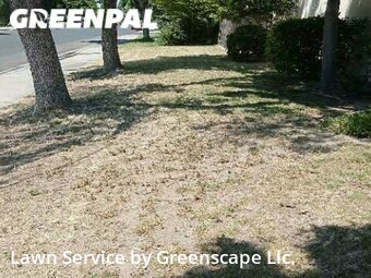 Yard Cutting nearby Modesto, CA, 