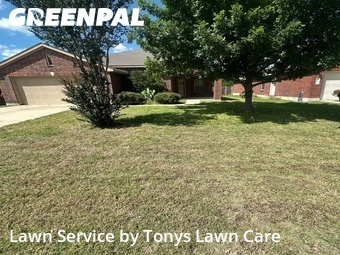 Lawn mowed in Hutto, 78634