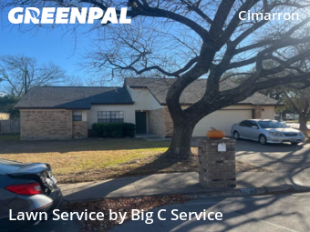 Lawn mowed in Round Rock, 78681