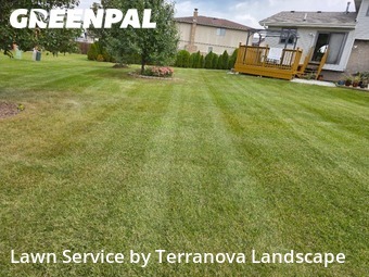 Weed Trimming in Romeoville, 60446, Lawn Care by Terranova Landscape, work completed in Nov , 2025