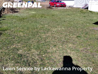 Lawn Maintenance nearby Scranton, PA, 