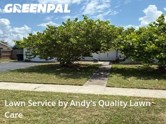 Grass Cutting nearby St. Petersburg, FL, 